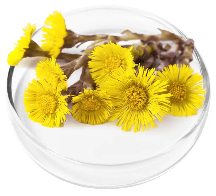 lungexpand pro ingredient 4