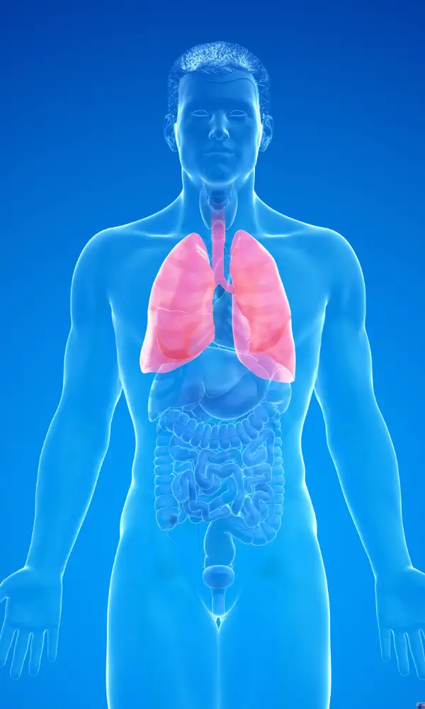 lungexpand pro lung detox
